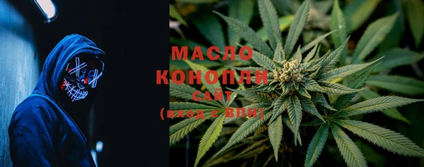 гашик Козловка