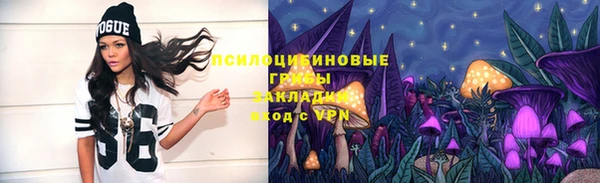 гашик Козловка