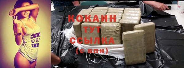 МДПВ Козельск