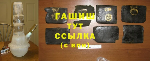 гашик Козловка