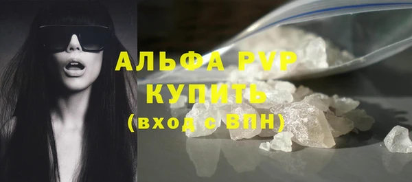 гашик Козловка