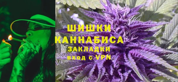гашик Козловка