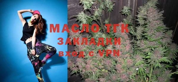 гашик Козловка
