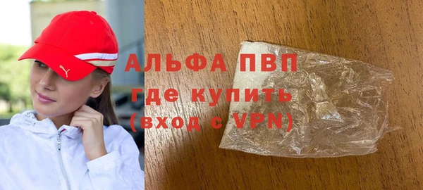 гашик Козловка