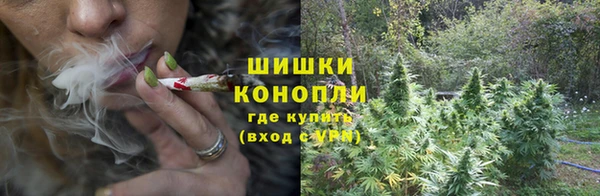 МДПВ Козельск
