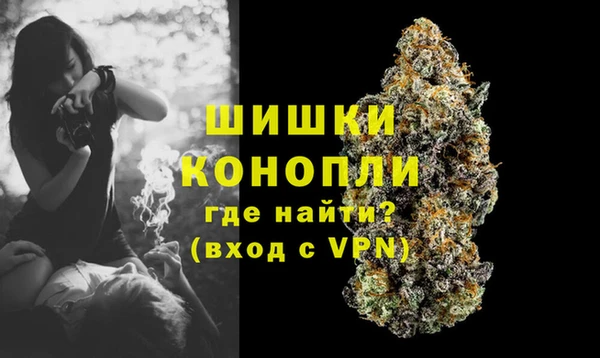 гашик Козловка