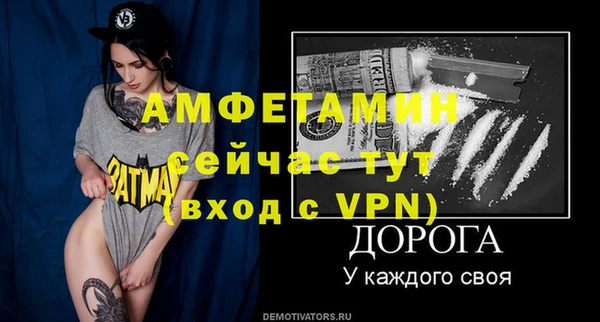 гашик Козловка