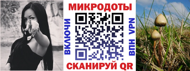 купить наркоту  Хабаровск  Галлюциногенные грибы ЛСД 